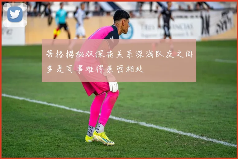 蒂格揭秘双探花关系深浅队友之间多是同事难得亲密相处